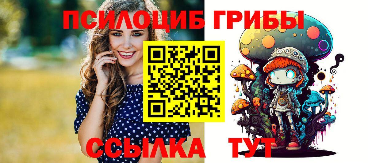 Псилоцибиновые грибы Psilocybine cubensis  Вход с VPN  купить закладку  Кольчугино 