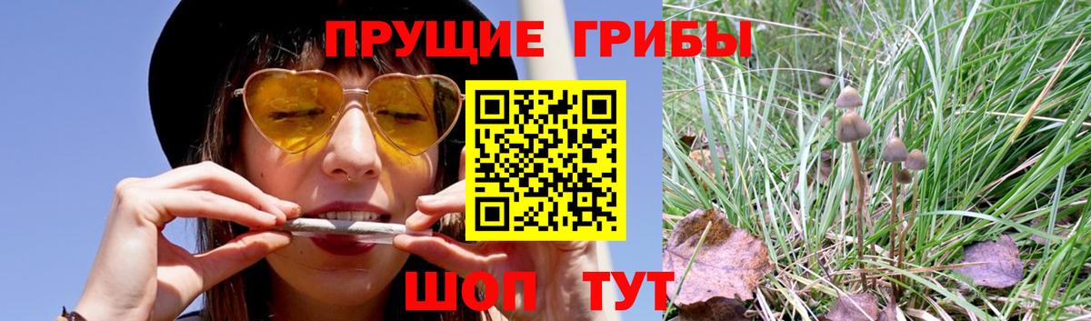 Галлюциногенные грибы Magic Shrooms Кольчугино